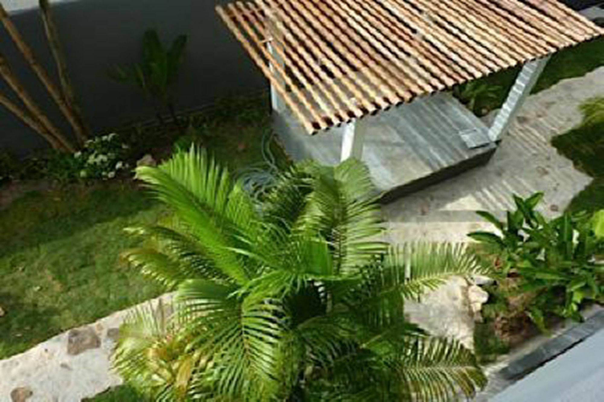 Sairee Sairee Guesthouse Ko Tao Bagian luar foto
