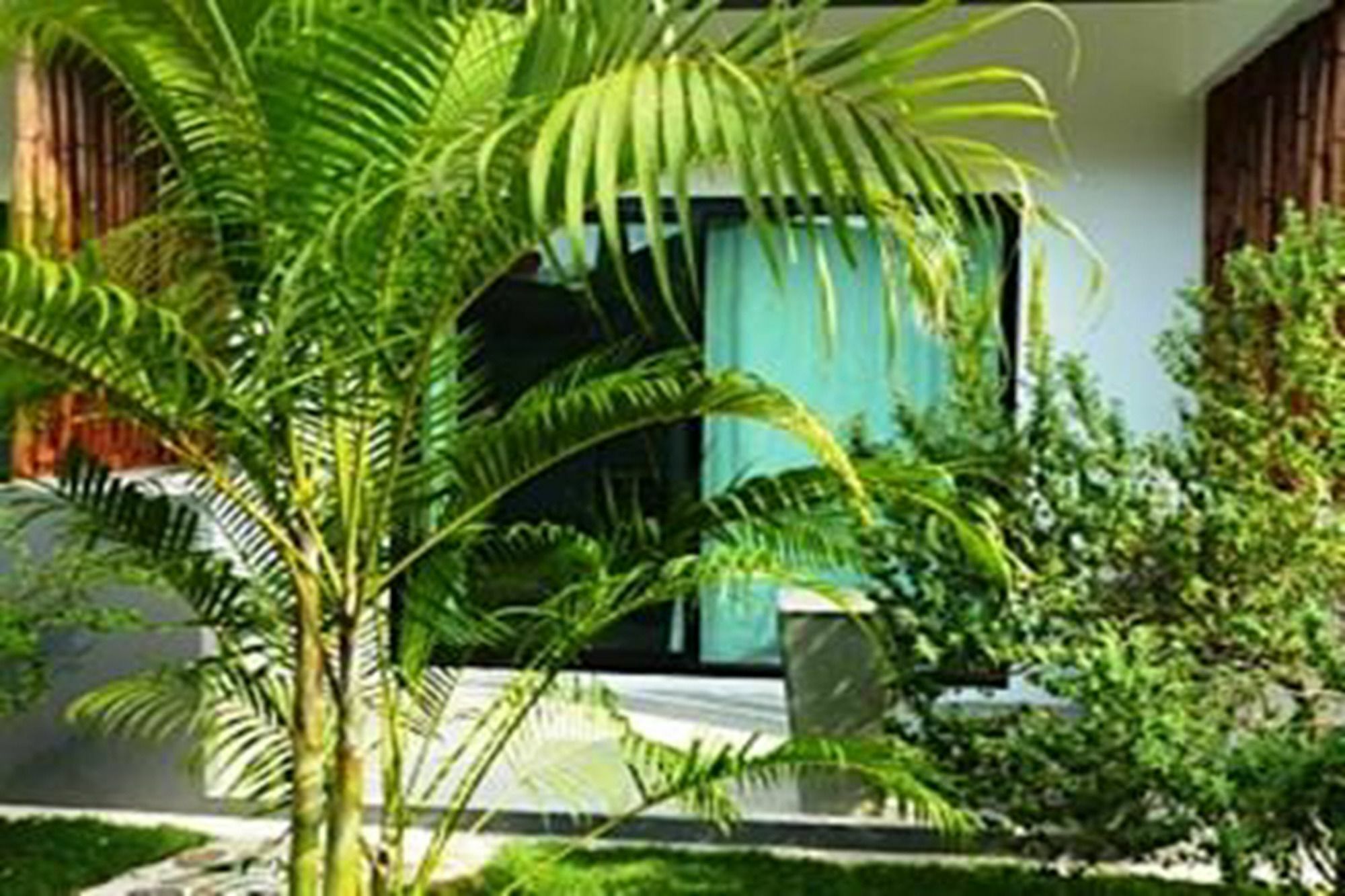 Sairee Sairee Guesthouse Ko Tao Bagian luar foto